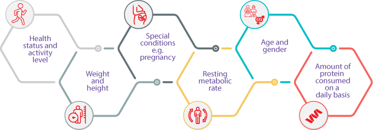 Factors on which protein intake of an individual depends