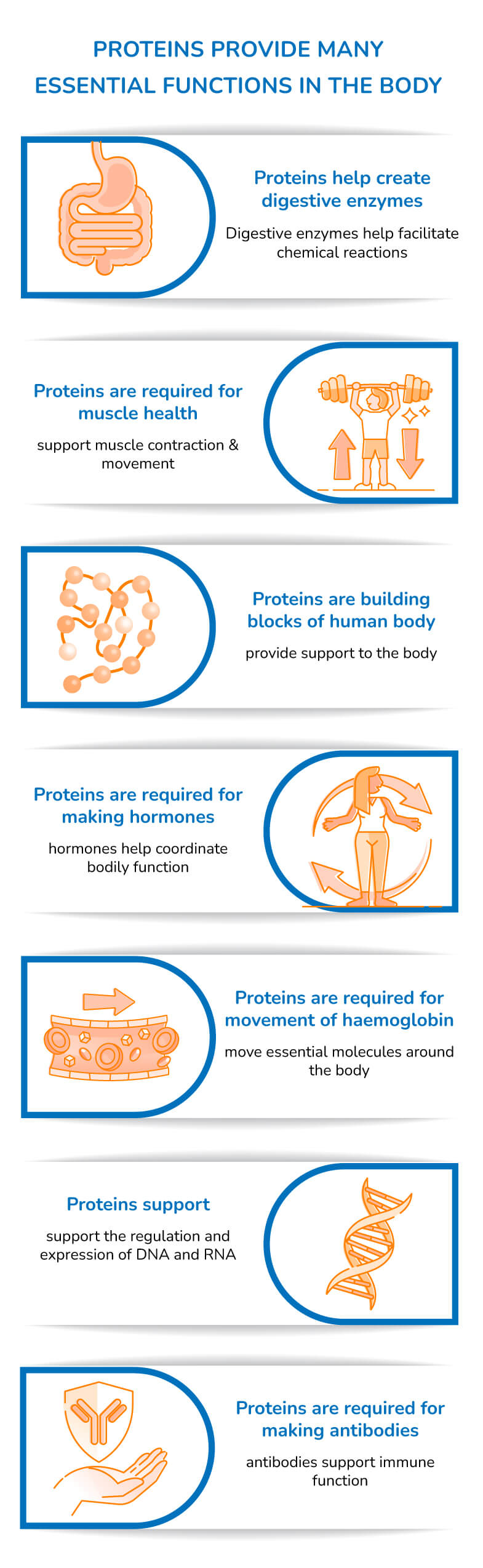 why-proteins-are-important-for-your-body